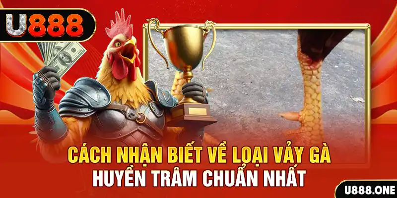 vn88 link Chú hề Patty tuổi teen