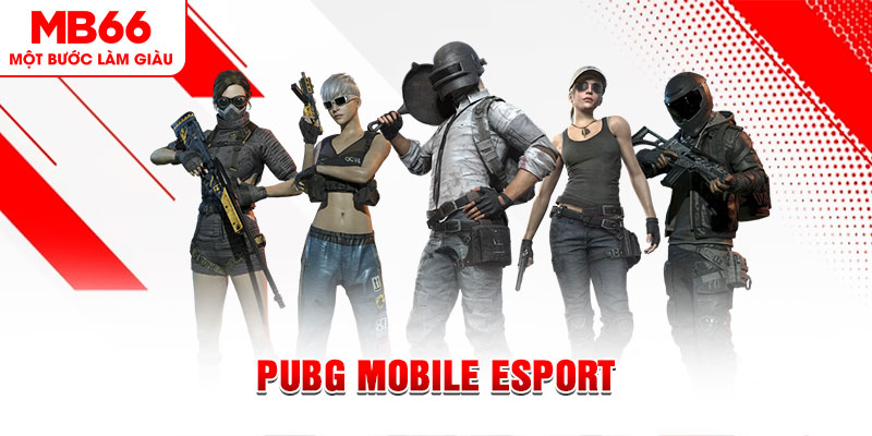 vn88 link gà chọi c1 mới nhất