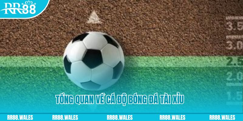 vn88 link JDB Điện Tử