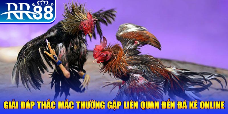 vn88 link đăng nhập phỏm tặng tiền