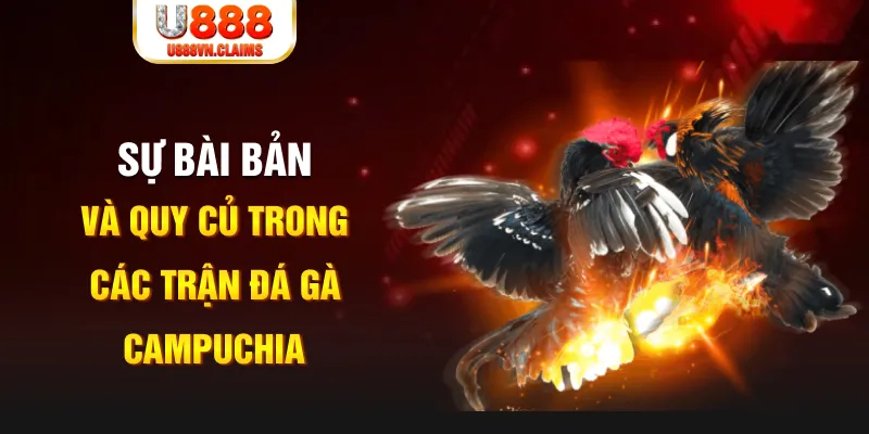 vn88 link baccarat lừa đảo như thế nào