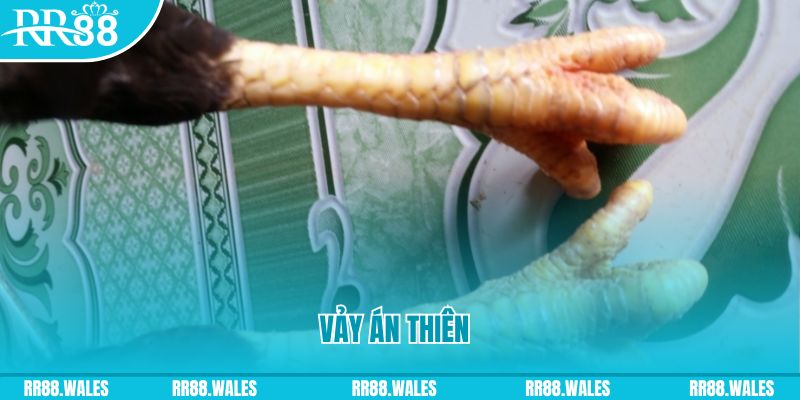 vn88 link who wants to be a millionaire slot