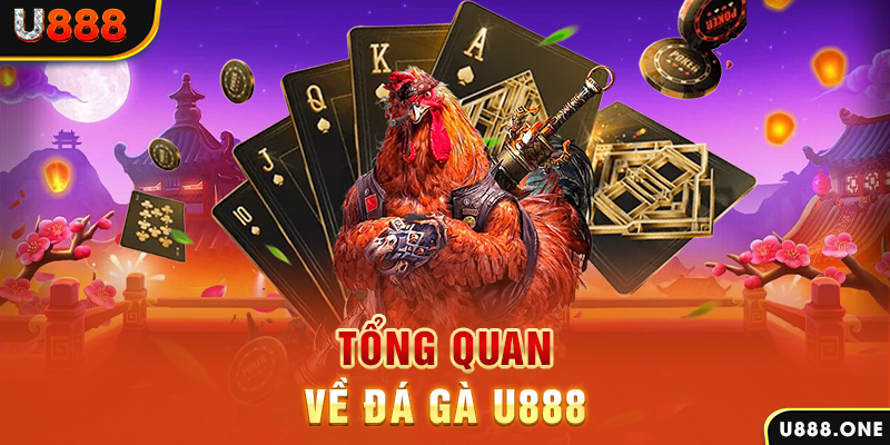 vn88 link baccarat có lừa đảo không